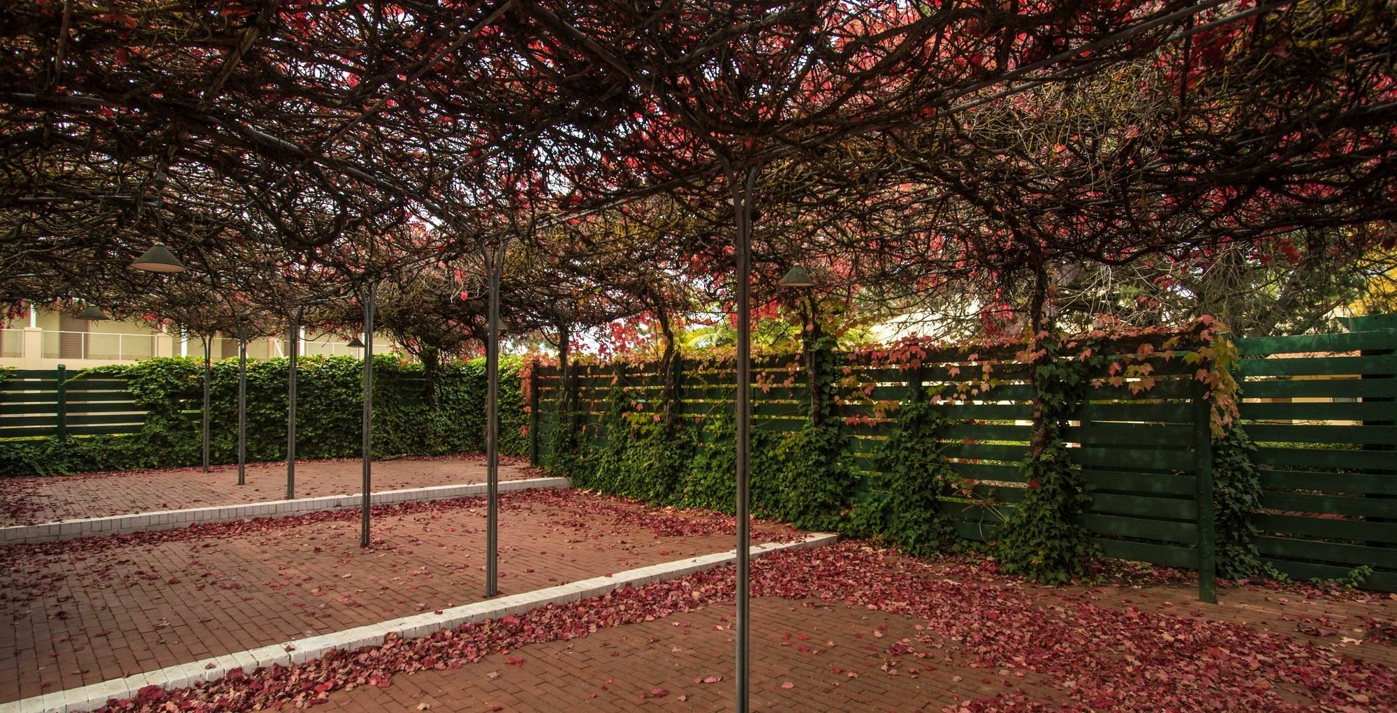 Barossa Weintal Hotel Tanunda Esterno foto